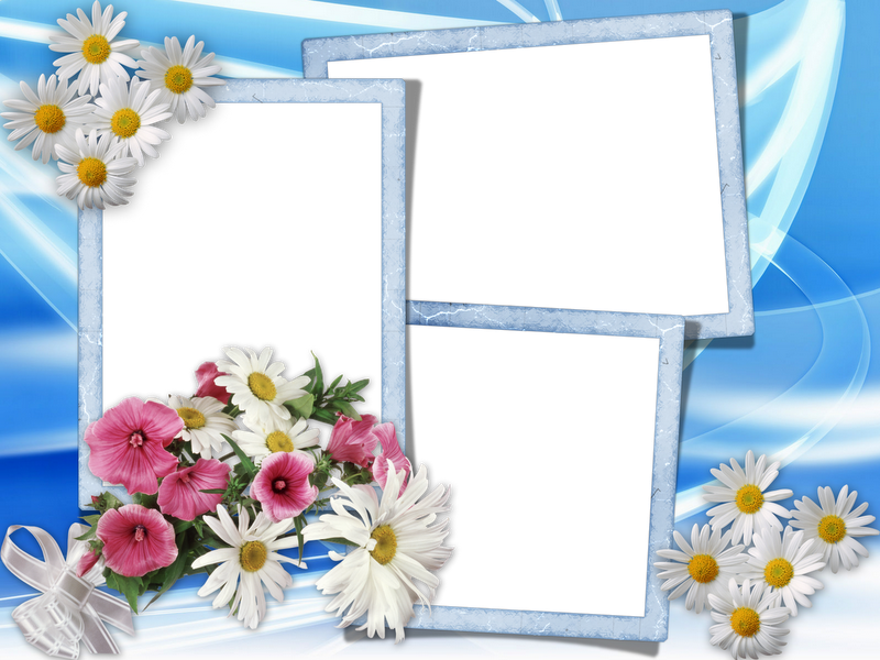 Marcos Para Boda Png - Flowers Frames (800x600), Png Download