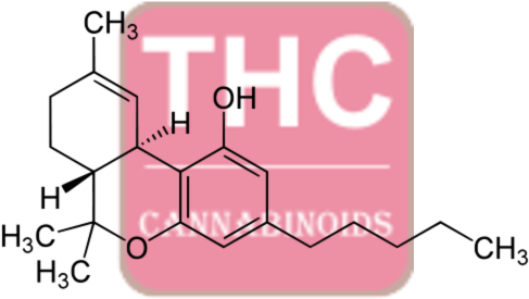 Tetrahydrocannabinol Antibody (mab) - Thc Symbol (tetrahydrocannabi Rectangle Car Magnet (500x500), Png Download