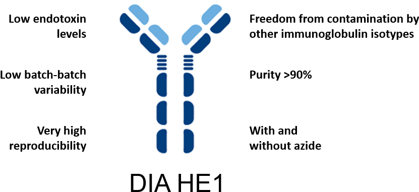 The Allergic Reaction Results From The Production Of - Calabria Nel Cuore (897x421), Png Download