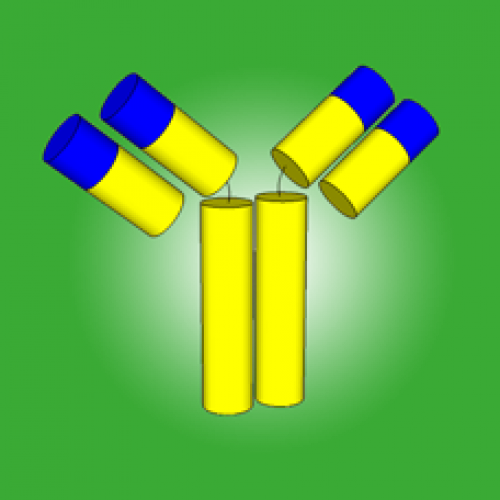 Monoclonal Antibody (500x500), Png Download