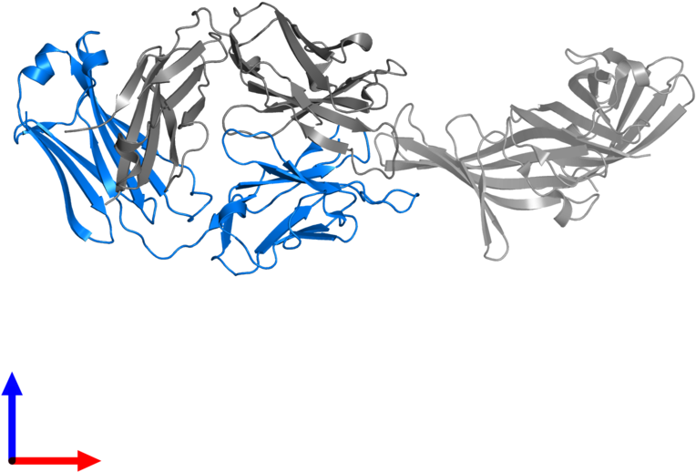 <div Class='caption-body'>pdb Entry 5t5f Contains 1 - Graphic Design (800x800), Png Download
