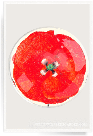 Ben's Garden - Modern Art (337x480), Png Download