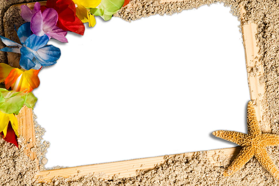 Aggregate 160+ beach decor picture frames best seven.edu.vn