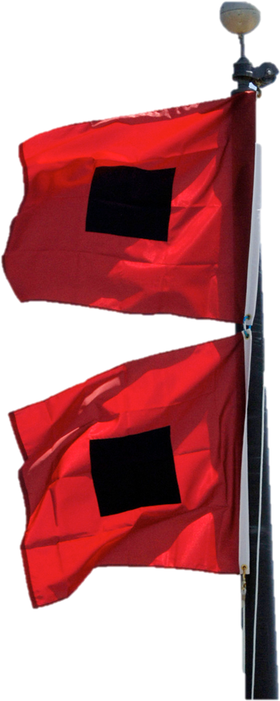 Hurricane Preparedness - Hurricane Flag Symbol Png (438x1032), Png Download