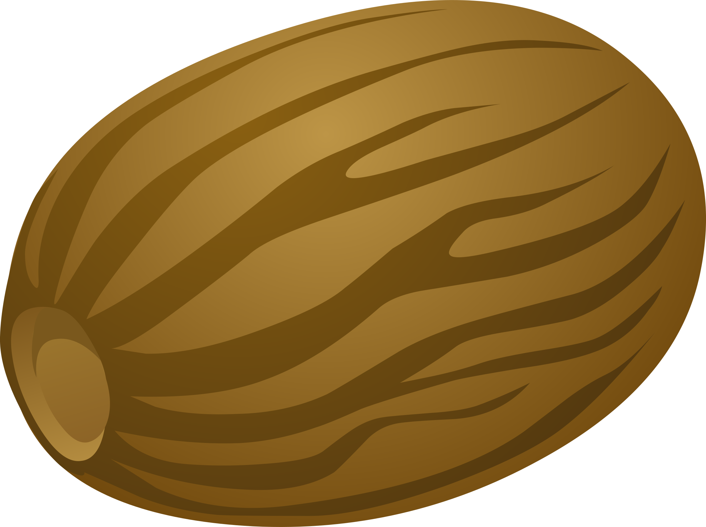This Free Icons Png Design Of Spice Nutmeg (2400x1793), Png Download