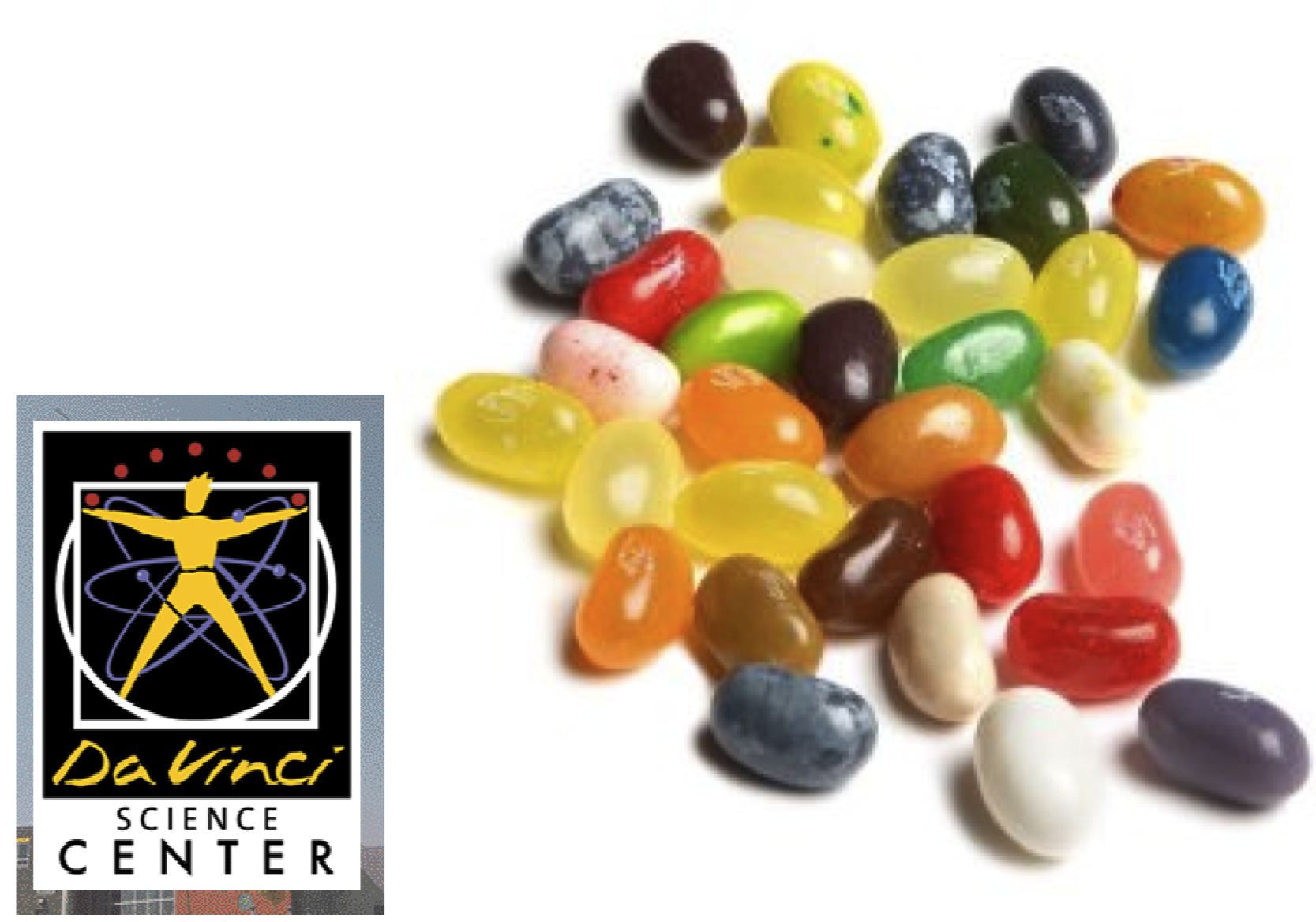 The Davinci Science Center In Allentown, Pa - Kirkland Signature Jelly Belly Gourmet Beans, 49 Flavors (1800x1167), Png Download