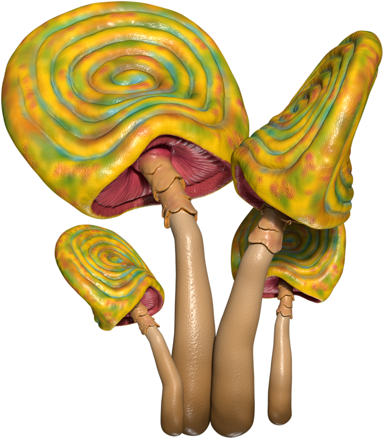 Poor Man's Lollipop - Illustration (1000x1000), Png Download