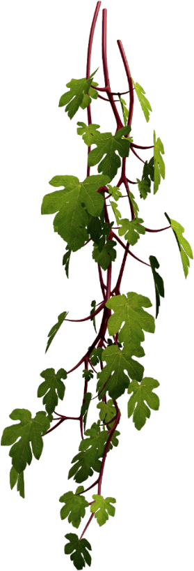 3d Foliage Free (1024x1024), Png Download