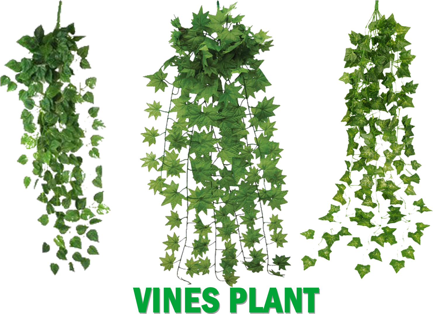 Vines Plants - Leegoal Atificial Hanging Vine Plant Leaves Garland (1559x1080), Png Download