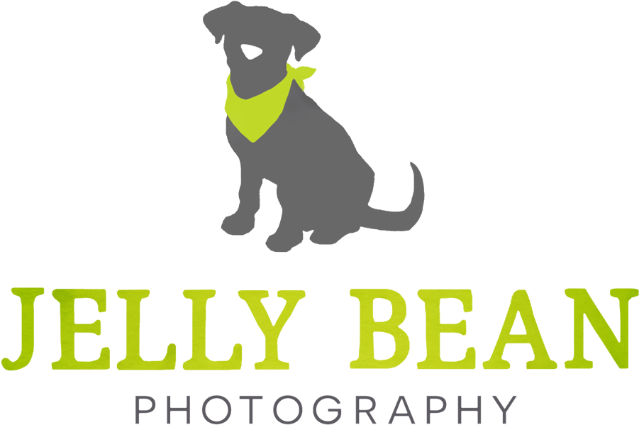 Jelly Bean Photography - Gvac (973x647), Png Download