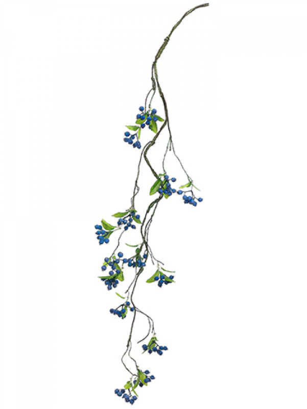 42 Inch Berry Vine Blue Gray - Illustration (800x800), Png Download