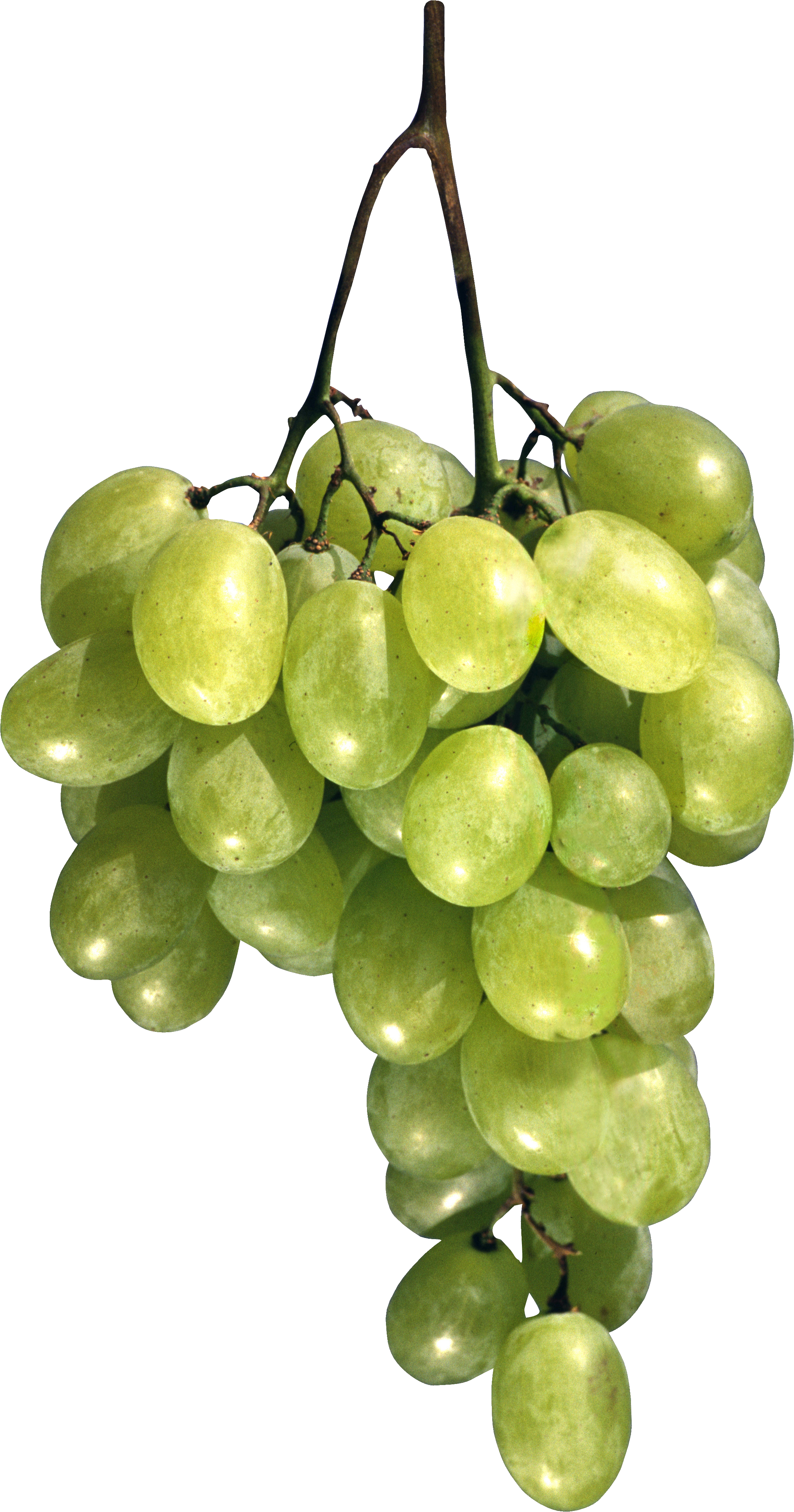Green Grape Png Image - Виноград Фото (2265x4311), Png Download