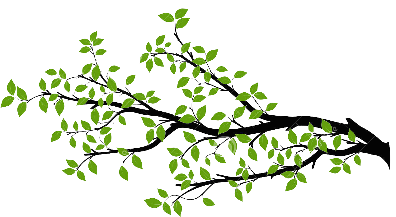 The Branches Of Trees - Substance Designer Branch Leaves (1300x811), Png Download