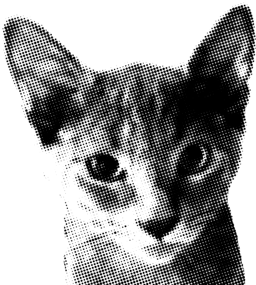 Harley After Halftone - 【度なし】fancy Baby ファンシーベイビー ピーチラテ(1箱2枚) (545x591), Png Download