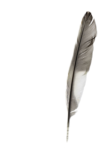 Feel Sleeping With Sirens (500x500), Png Download