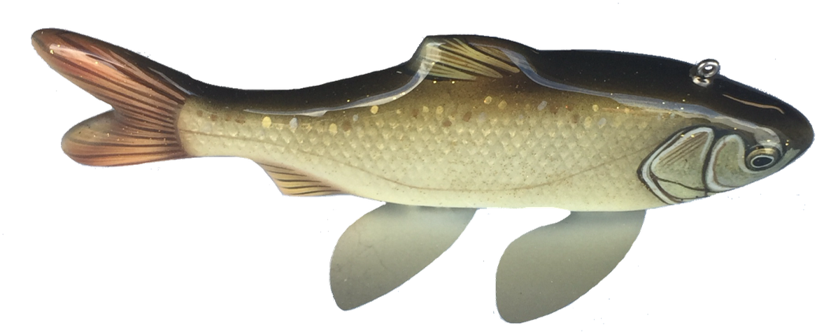 Melosh Fishing Lures - Carp (1292x1292), Png Download
