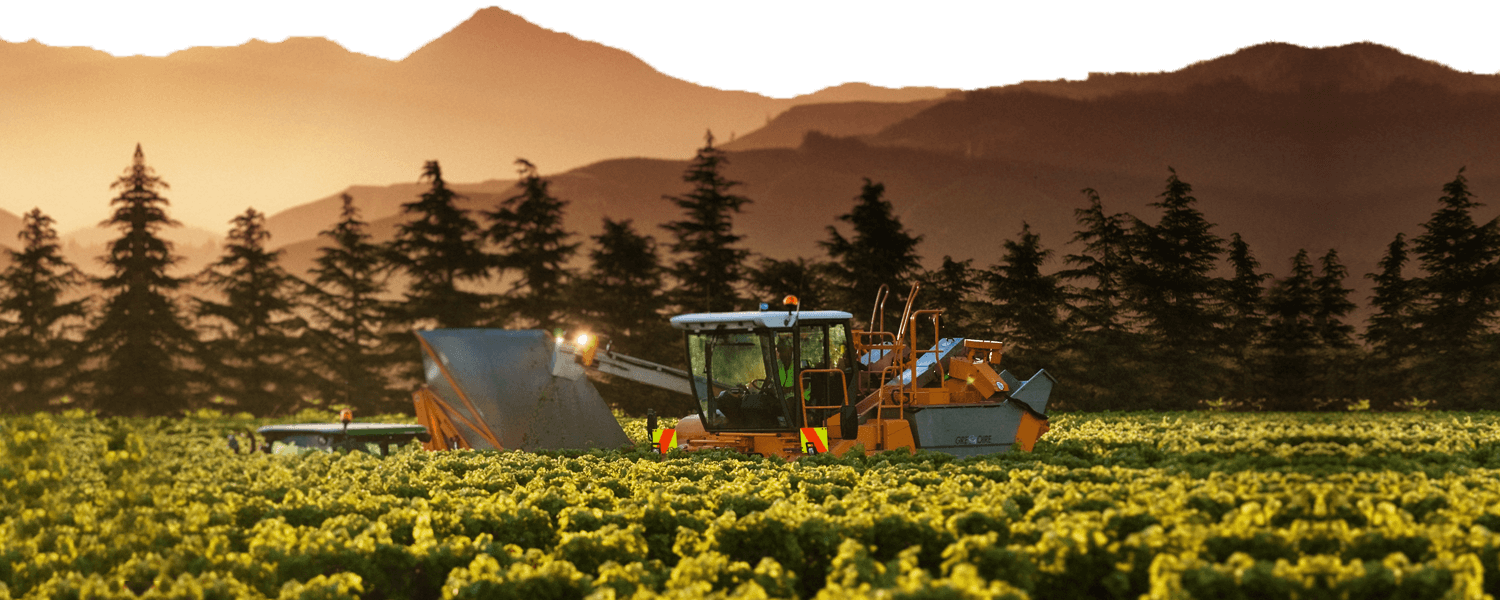 Kim Crawford Wines - New Zealand Wine Kim Crawford (1500x600), Png Download