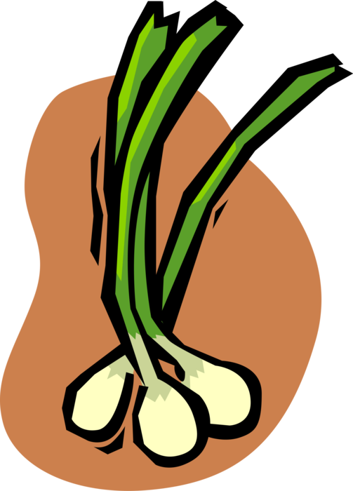 Vector Illustration Of Green Scallion Onion Vegetable (503x700), Png Download