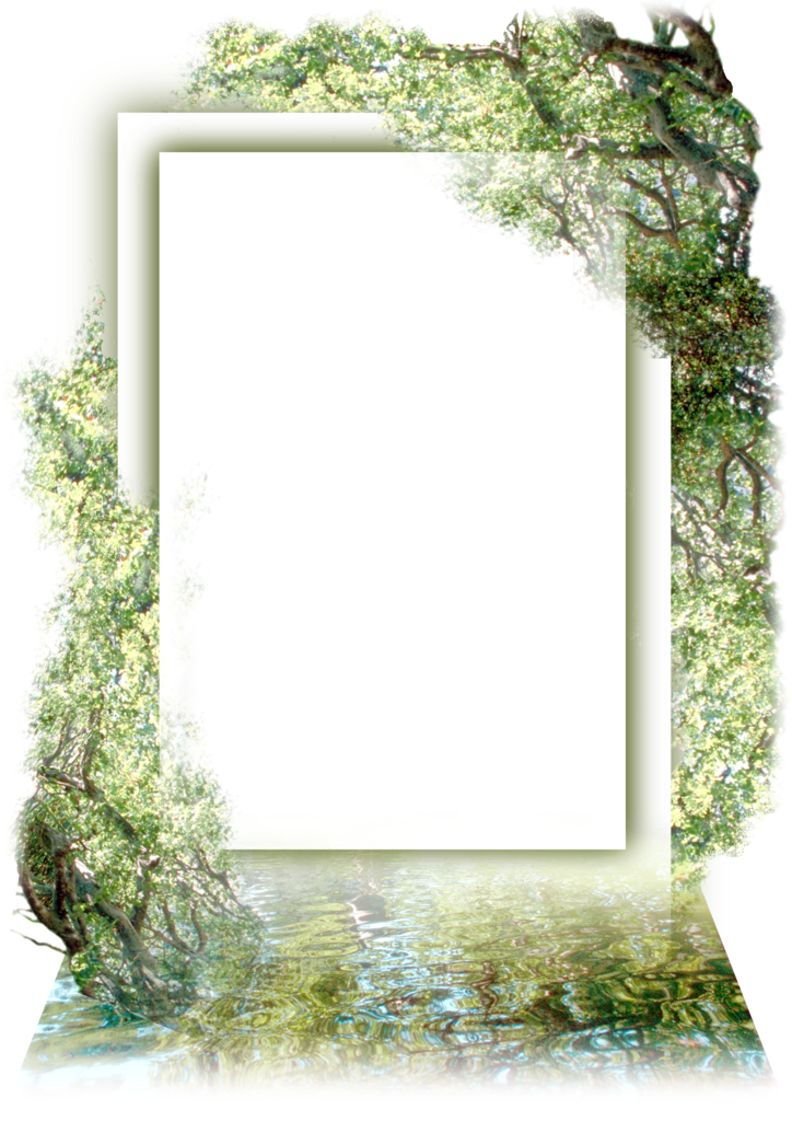 Photo Frame Png/transparent Image Free Download - 고급 액자 Png (724x1024), Png Download