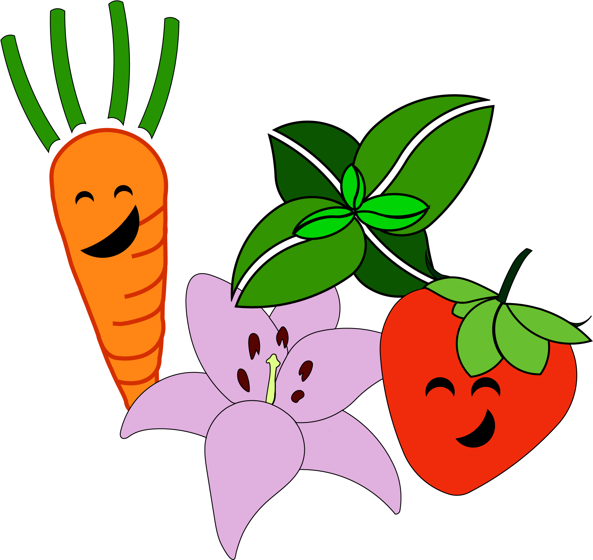 Radish Clipart Transparent - Fruit And Vegetable Clip Art (4000x2334), Png Download