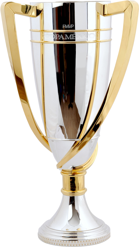Accesorios Para Tu Liga 2012 2013 Trofeos - Npower Championship Trophy (591x945), Png Download