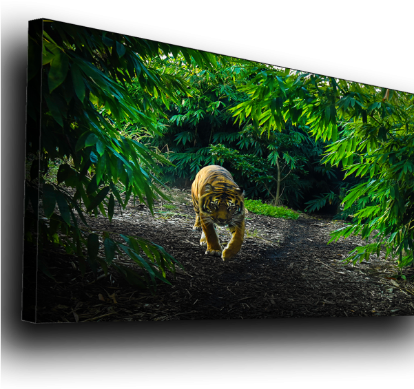 St Kilda Beach Rocks - Rainforest (600x600), Png Download