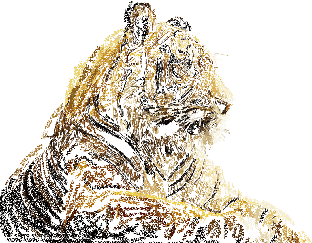 Siberian Tiger (1240x877), Png Download