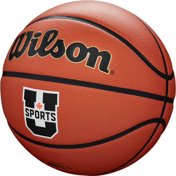 Wilson Basketball Png (868x868), Png Download