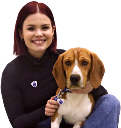 Blue Peter - Beagle (800x450), Png Download