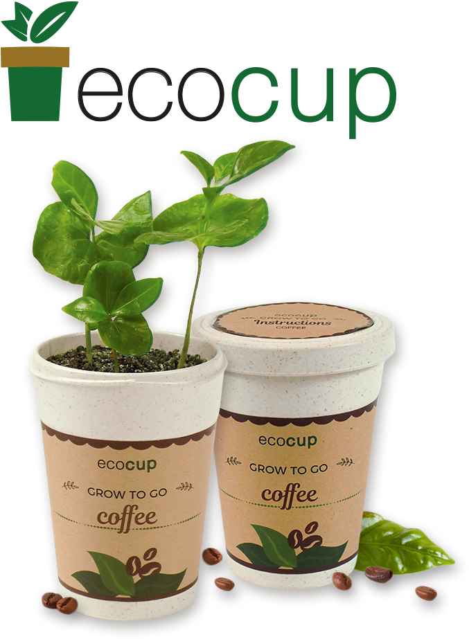 Feel Green - Green Cup Nature (799x1000), Png Download
