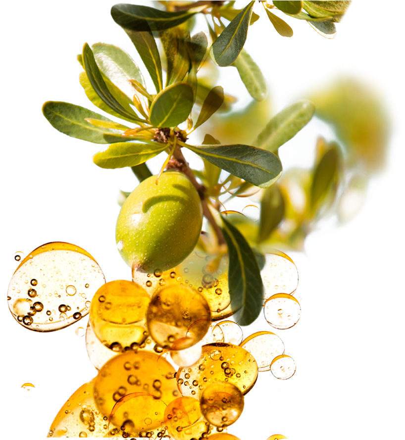 Argan Care Hand And Body Cream (1145x888), Png Download