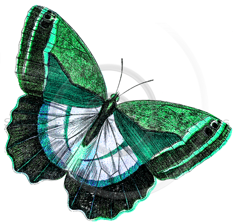 Silver Spiral Arts (797x768), Png Download