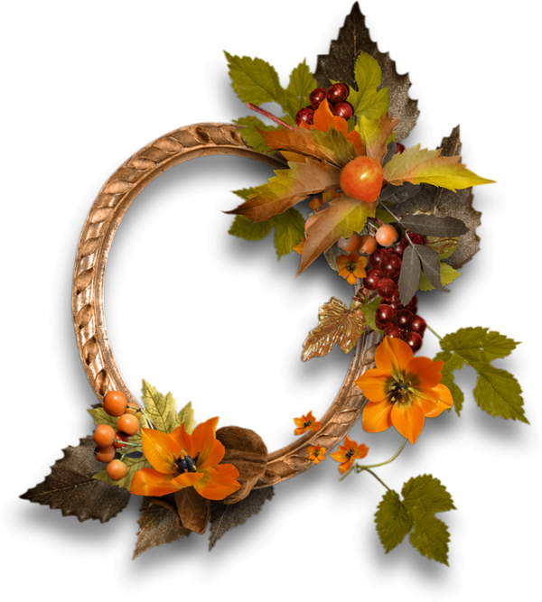 Cluster, Cadre Automne Png - Tree (600x667), Png Download