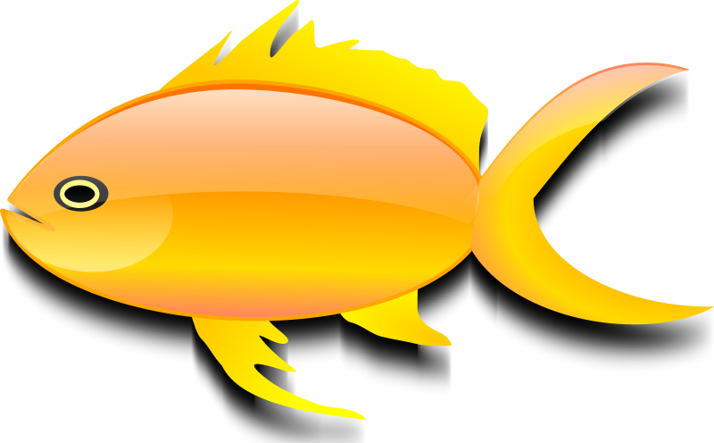 Goldfish Clipart Cute Yellow Fish - Gold Fish Clip Art (800x496), Png Download