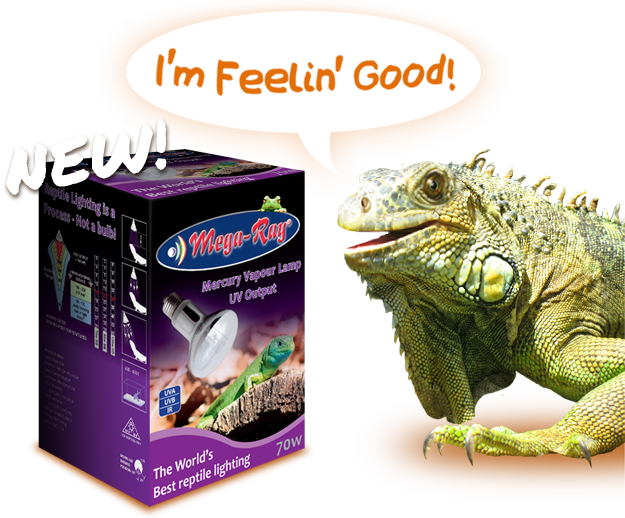 Smallest Uv Vapor Bulb On The Planet Mega Ray Pet Care - Megaray (625x518), Png Download