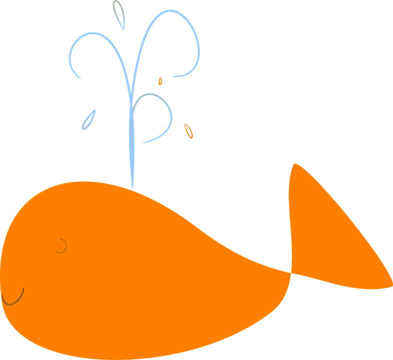 Happy Splash Free Vector Graphic On Pixabay - Orange Whale (785x720), Png Download