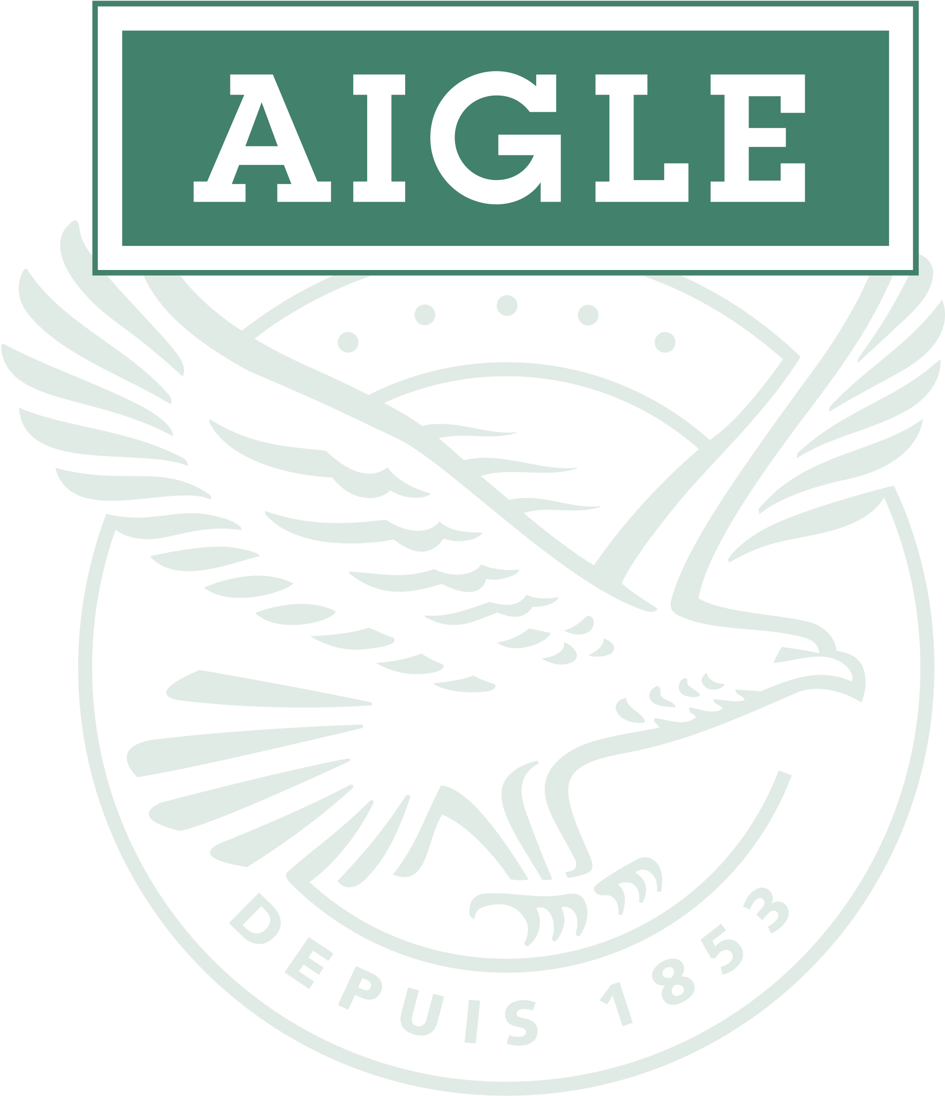 Aigle (2400x2400), Png Download