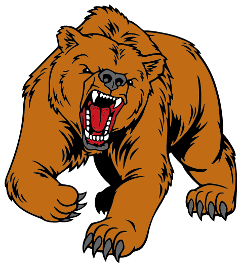 Grizzly - Red Bear (800x800), Png Download