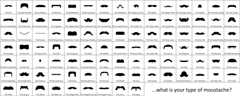 Dalibor Pejicic - Moustache Types (800x450), Png Download