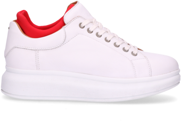 101020032 White Red 1901 1 - Skate Shoe (700x700), Png Download