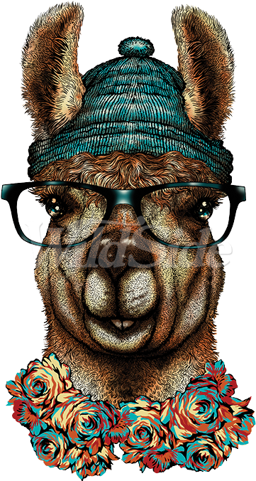 Hipster Llama Glasses & Beanie - Illustration (675x675), Png Download
