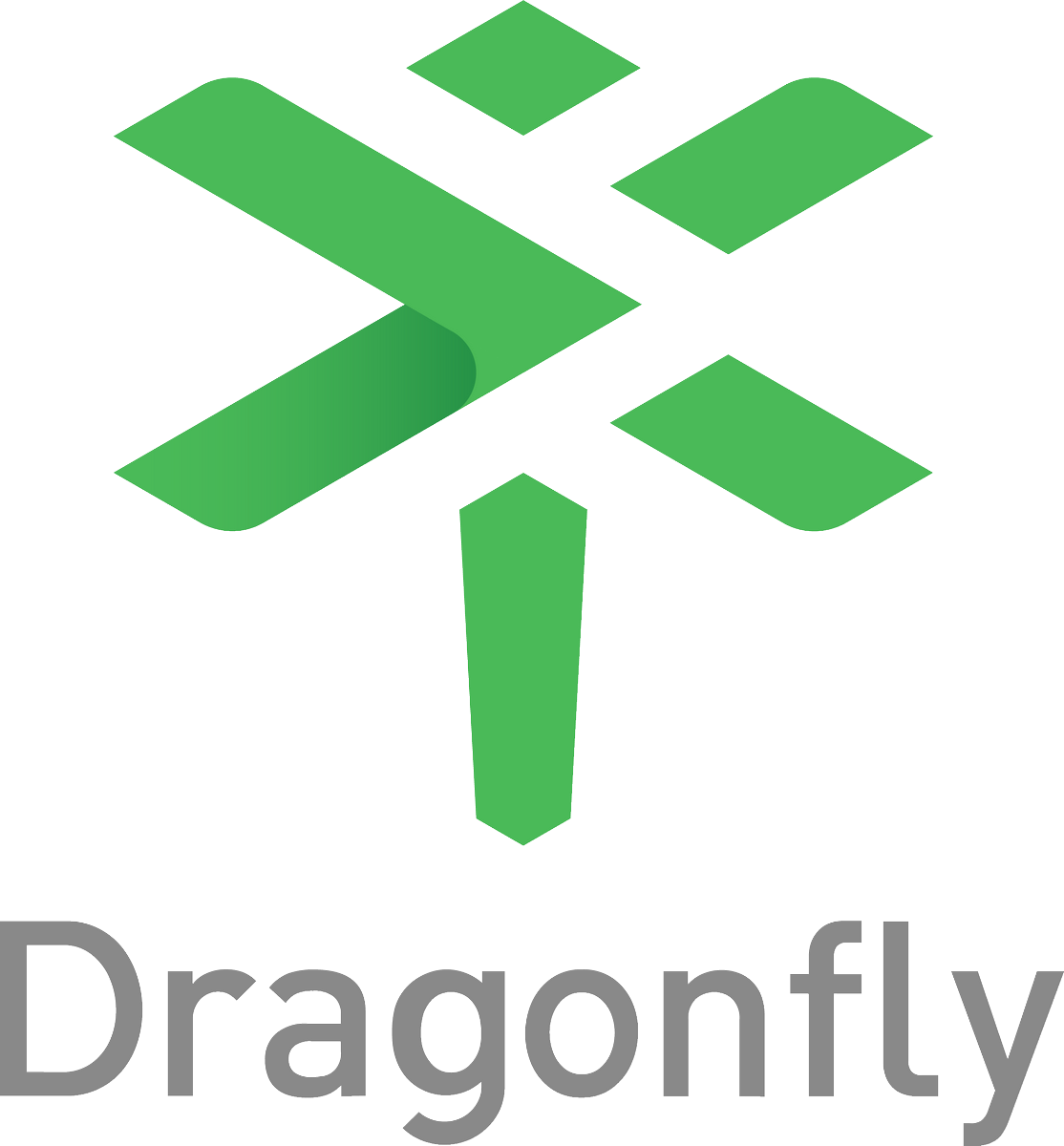 Dragonfly Logo Png - Graphic Design (1114x1200), Png Download