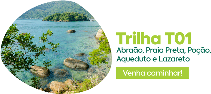 Trilha T01 Ilha Grande - Cove (960x320), Png Download
