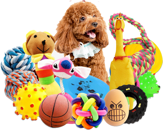 Dog (650x576), Png Download