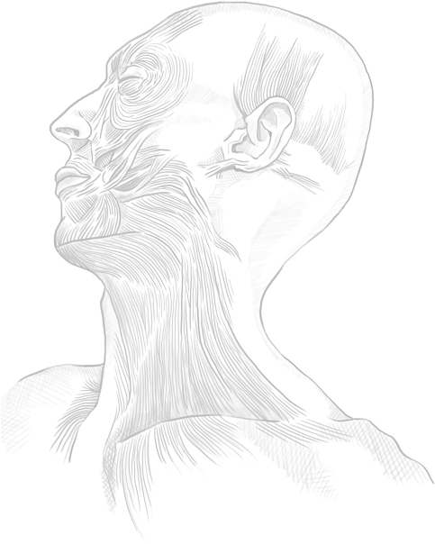 Cnn Beneath The Skin (500x634), Png Download