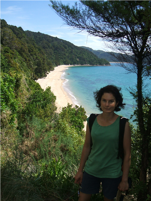Dr Deirdre Hart - Abel Tasman National Park, Totaranui Beach (862x778), Png Download