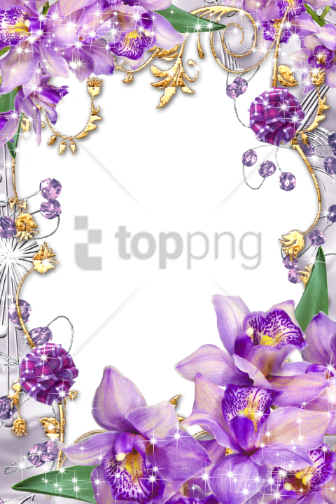 Free Png Borders And Frames Flowers Png Image With - Floral Frames And Borders (480x721), Png Download