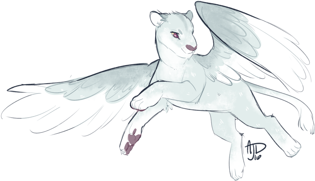 Magical Drawing - Illustration (1024x593), Png Download