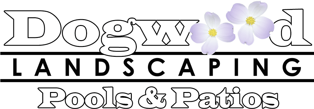 Image - Crocus (1099x420), Png Download