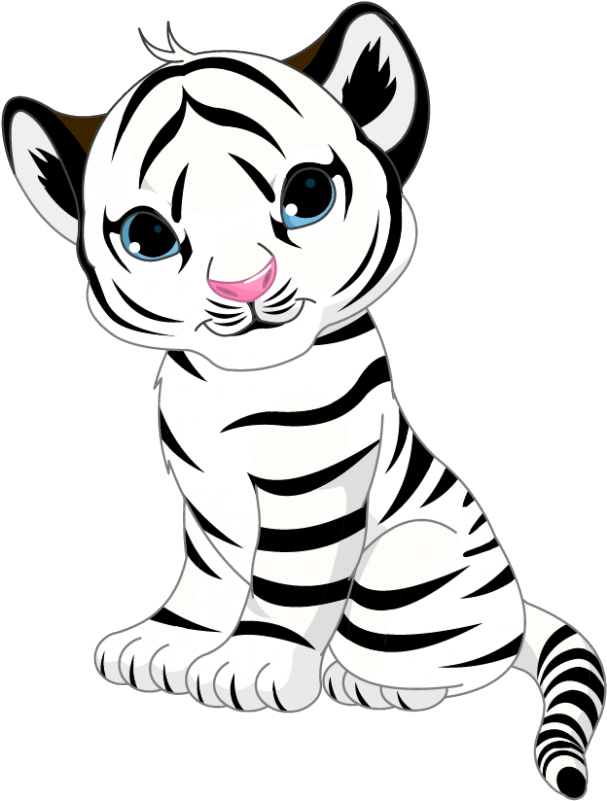 Drawing Tigers Cute Baby - White Tiger Cubs Clipart (800x800), Png Download